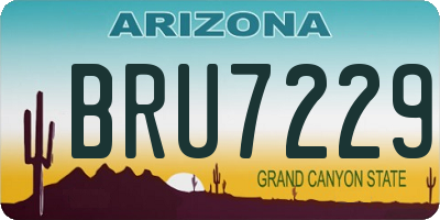 AZ license plate BRU7229