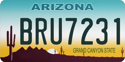 AZ license plate BRU7231
