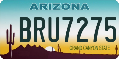 AZ license plate BRU7275