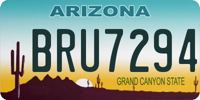 AZ license plate BRU7294