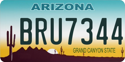 AZ license plate BRU7344