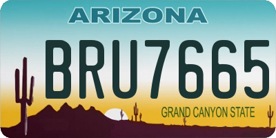 AZ license plate BRU7665