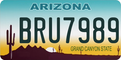 AZ license plate BRU7989