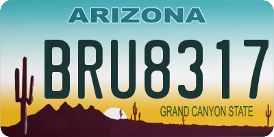 AZ license plate BRU8317