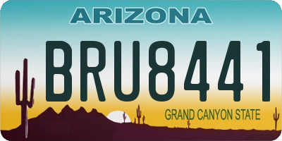 AZ license plate BRU8441