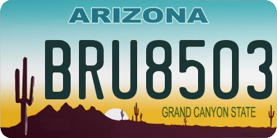AZ license plate BRU8503