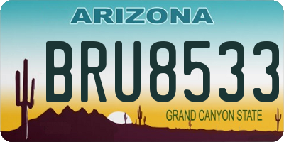AZ license plate BRU8533