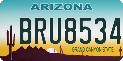 AZ license plate BRU8534