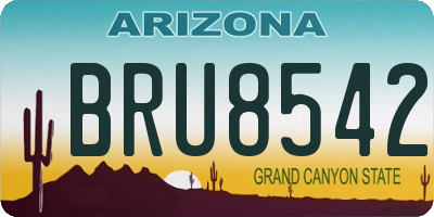 AZ license plate BRU8542