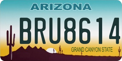 AZ license plate BRU8614