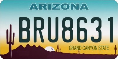 AZ license plate BRU8631