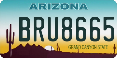 AZ license plate BRU8665