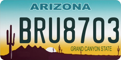 AZ license plate BRU8703
