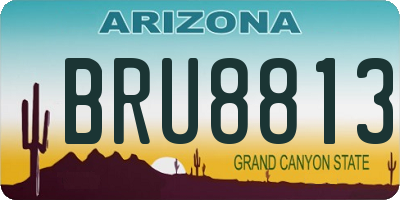 AZ license plate BRU8813