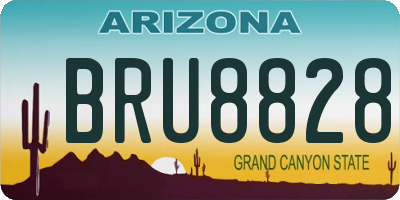 AZ license plate BRU8828