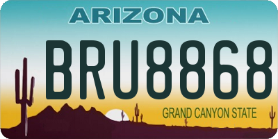 AZ license plate BRU8868