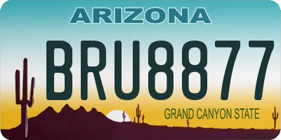 AZ license plate BRU8877