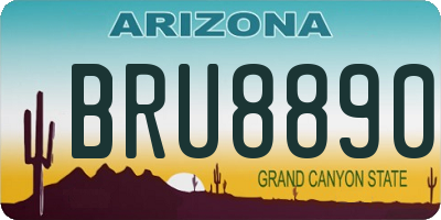 AZ license plate BRU8890