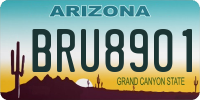 AZ license plate BRU8901