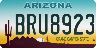 AZ license plate BRU8923