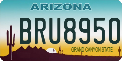 AZ license plate BRU8950