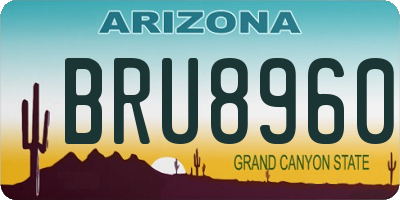 AZ license plate BRU8960