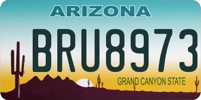AZ license plate BRU8973