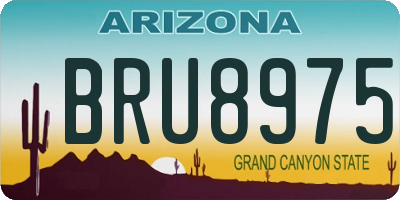 AZ license plate BRU8975