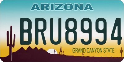 AZ license plate BRU8994