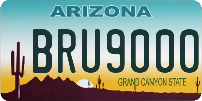 AZ license plate BRU9000