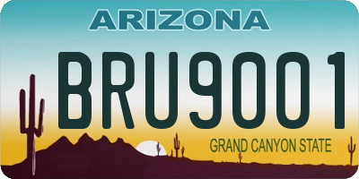 AZ license plate BRU9001