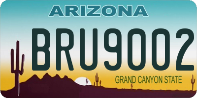AZ license plate BRU9002