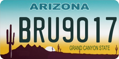 AZ license plate BRU9017