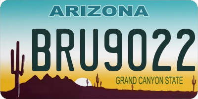 AZ license plate BRU9022