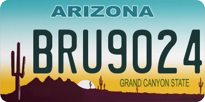 AZ license plate BRU9024
