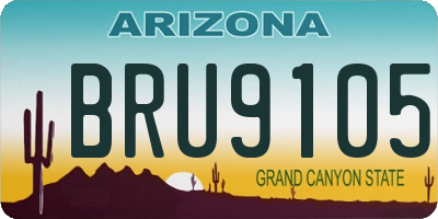 AZ license plate BRU9105