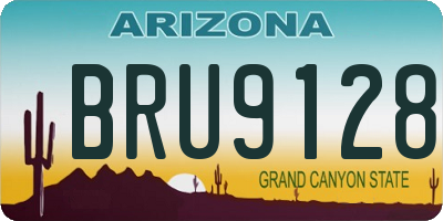 AZ license plate BRU9128