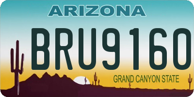 AZ license plate BRU9160