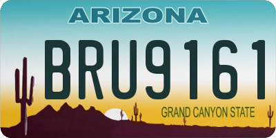AZ license plate BRU9161