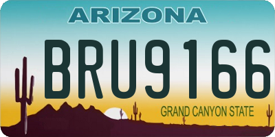 AZ license plate BRU9166
