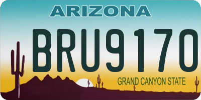 AZ license plate BRU9170