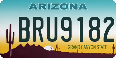 AZ license plate BRU9182
