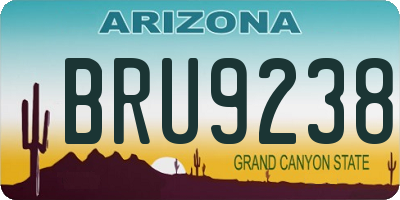 AZ license plate BRU9238