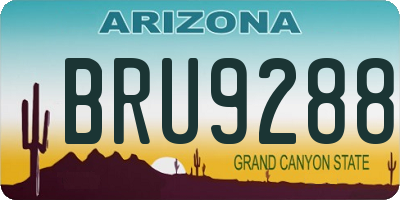 AZ license plate BRU9288