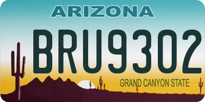 AZ license plate BRU9302