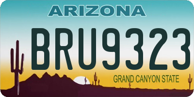AZ license plate BRU9323