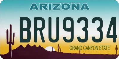 AZ license plate BRU9334