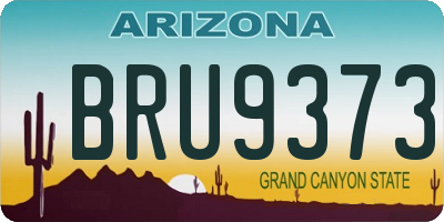 AZ license plate BRU9373