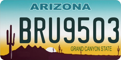 AZ license plate BRU9503