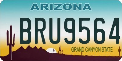 AZ license plate BRU9564